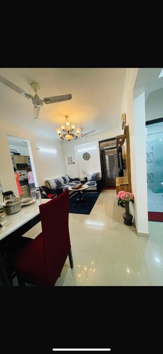 Studio  600 Sq.Ft. Apartment in AVS City Palace