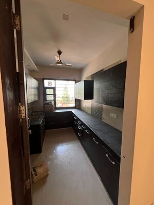 Kitchen in 3 BHK Builder Floor at Sector 21 – for Rent