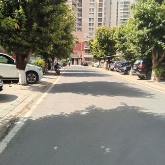 3 BHK Builder Floor For Rent in Unitech Woodstock Floors in Sector 50, Gurgaon