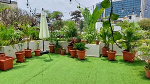 3 BHK Apartment – Garden View at Ashed Regency Violet, Lavelle Road - for Rent