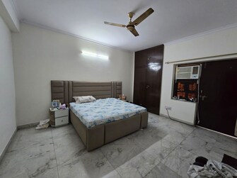 3 BHK Builder Floor For Rent in RWA Residential Society in Sector 40, Gurgaon