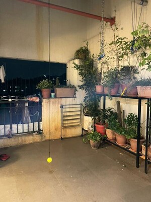 Gym in 1 BHK Apartment at Dhamji Shamji Mahavir Spring Tulip Phase 1, Pokhran Road No Two – for Rent