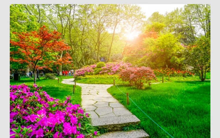 Garden, sbr-minara 2.5 Bedroom 1290 Sq.Ft. Apartment In Seegehalli Bangalore 10589605