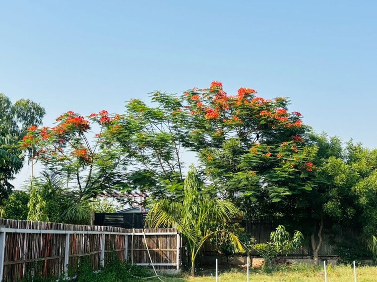 Garden, ss-sainik-farms  1050 Sq.Ft. Plot In Sector 150 Noida 10595112