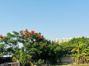  Plot – Garden View at SS Sainik Farms, Sector 150 - for Sale