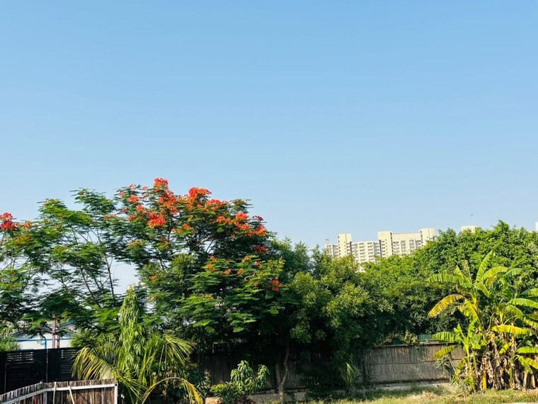 Garden, ss-sainik-farms  1050 Sq.Ft. Plot In Sector 150 Noida 10595112