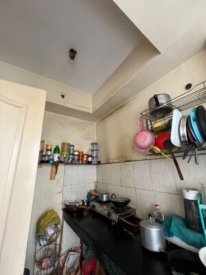 5 BHK Penthouse For Rent in Logix Blossom County, Sector 137