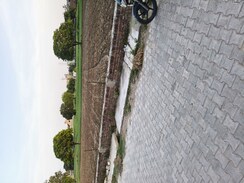 Plot For Sale in Vatika City Central