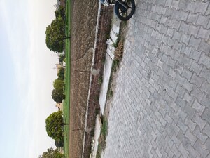  Plot For Sale in Vatika City Central
