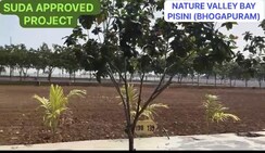 Plot For Sale in Bhogapuram