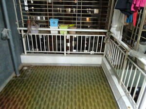 Balcony in 2 BHK Apartment at Pristine Greens, Moshi – for Rent