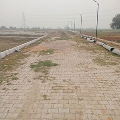 Plot For Sale in Sector 150