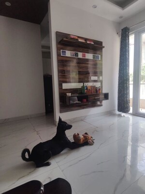Living Room in 3.5 BHK Builder Floor at Rosewood City – for Sale