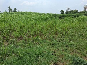 Plot Area in  Land at Gomti Nagar – for Sale