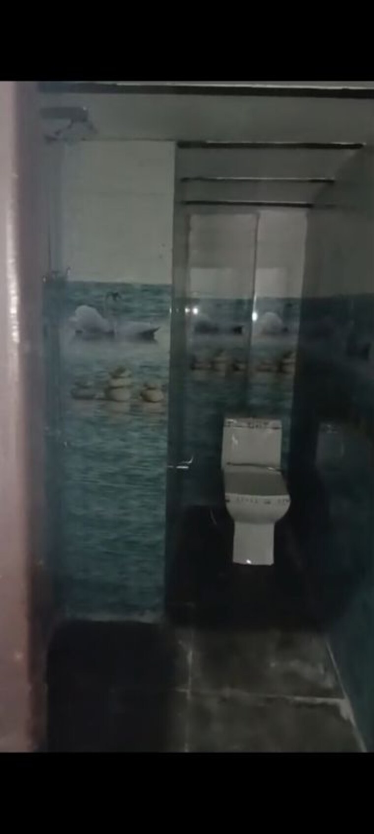 Bathroom, rabupura 2 Bedroom 540 Sq.Ft. Independent House In Rabupura Greater Noida 10596051
