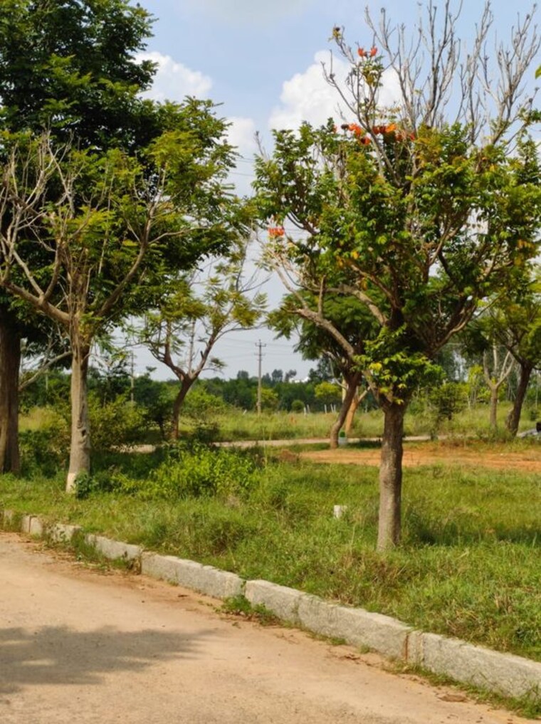 Garden, jr-gardens  2400 Sq.Ft. Plot In Chandapura Bangalore 10596229