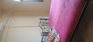 Staircase in 2 BHK Apartment at Powai Vihar, Powai – for Rent