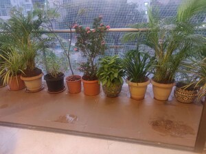 Living Room in 2 BHK Apartment at Ekta Elite, Bandra West – for Rent