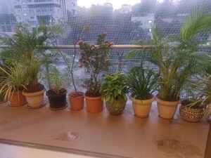 2 BHK Apartment – Garden View at Ekta Elite, Bandra West - for Rent