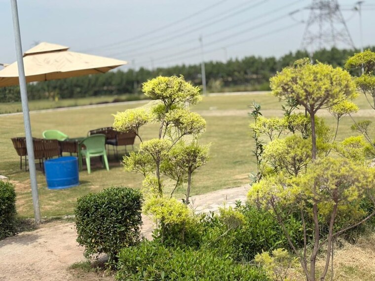 Garden, ved-express-city  3000 Sq.Yd. Plot In Sikandarpur Village Noida 10596341