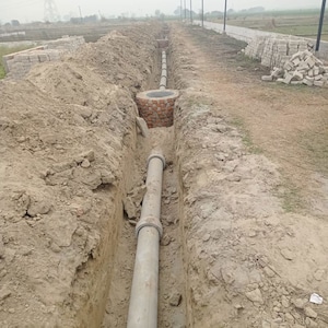 Plot Area in  Plot at Sector 135 – for Sale