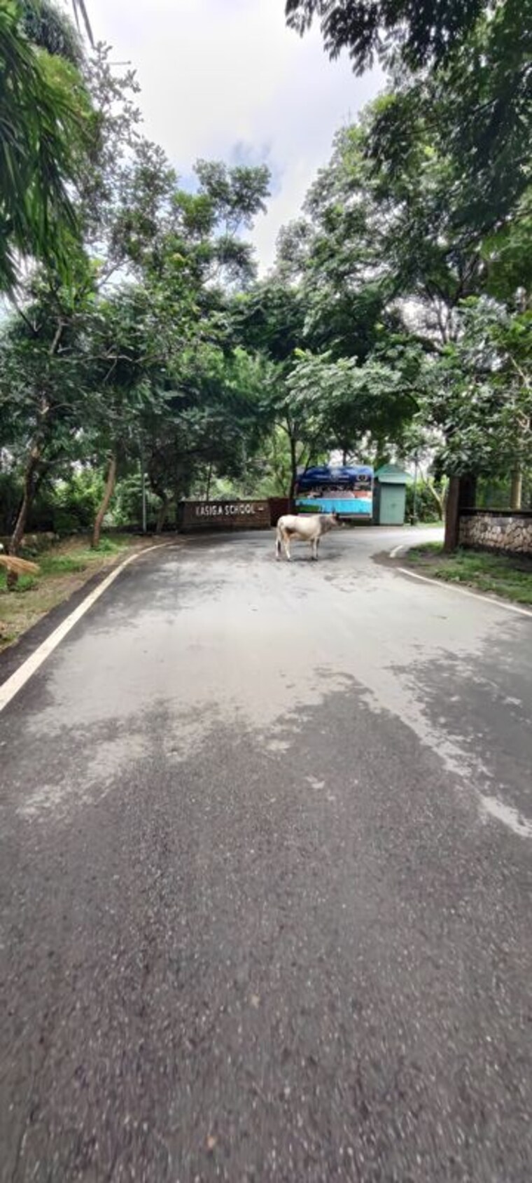 undefined, bhagwantpur  320 Sq.Yd. Plot In Bhagwantpur Dehradun 10596415