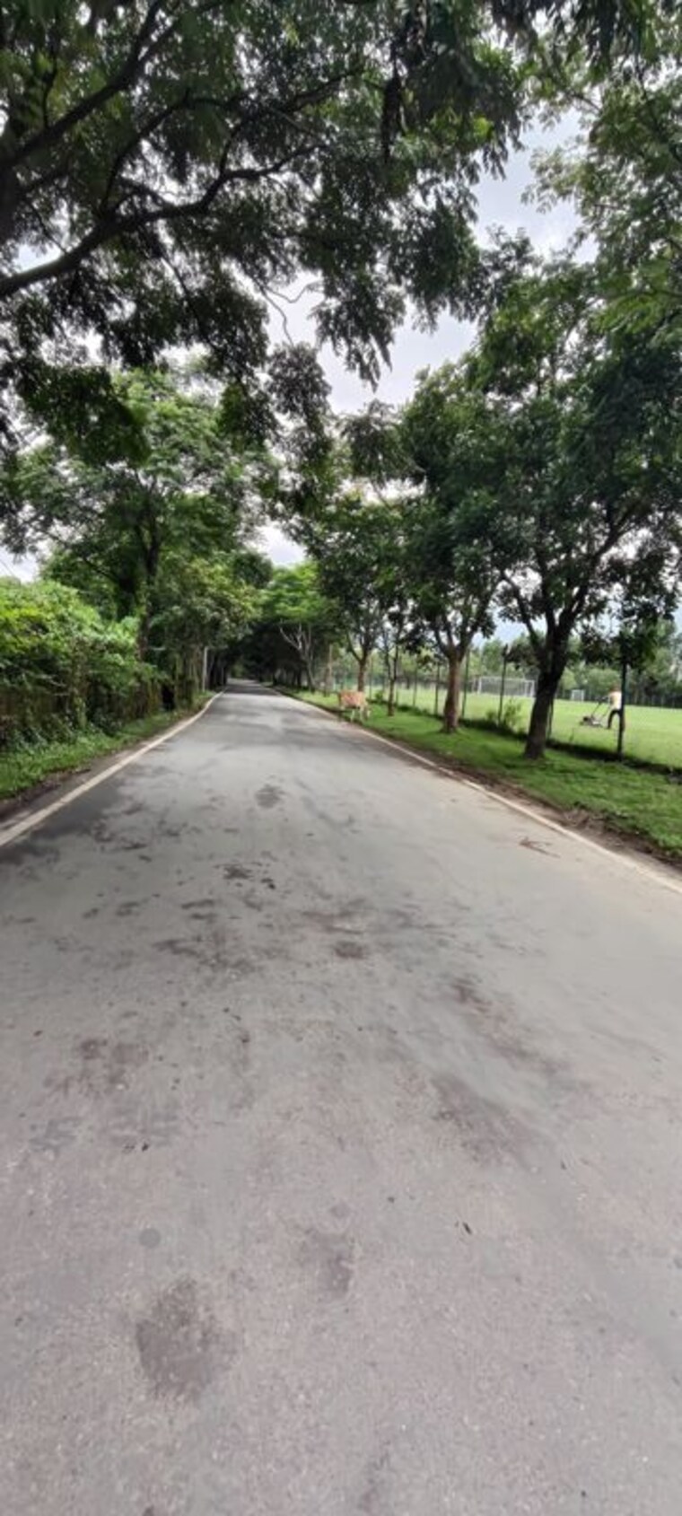 undefined, bhagwantpur  320 Sq.Yd. Plot In Bhagwantpur Dehradun 10596415
