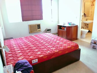 3 BHK Apartment For Rent in DLF Ridgewood Estate in Dlf Phase iv, Gurgaon