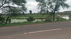  Land For Sale in Sanchi Road