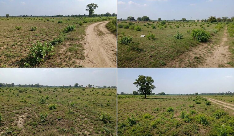 undefined, sanjan Commercial Industrial Plot 7 Acre In Sanjan Valsad 10596908