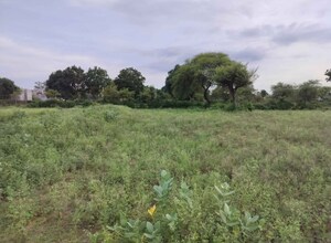 Plot Area in  Plot at Sultanpur Road – for Sale