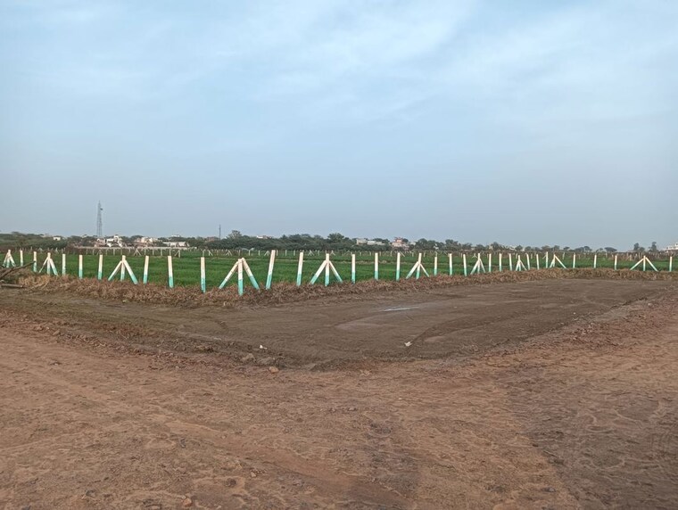 undefined, sohna  900 Sq.Ft. Plot In Sohna Gurgaon 10597003