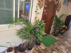 Gym in 3 BHK Apartment at Vajram Essenza, Yelahanka – for Rent