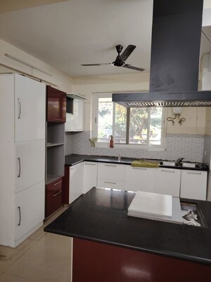 Kitchen in 3.5 BHK Apartment at Brisk Lumbini Terrace Homes, Sector 109 – for Rent