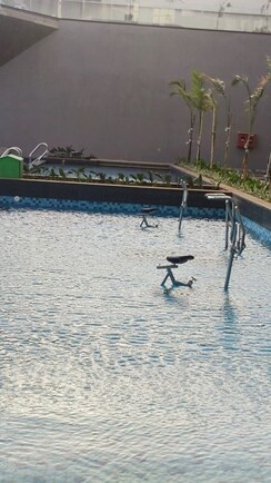 2 BHK Apartment For Rent in L & T Rejuve 360 Tower A