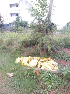 Plot Area in  Plot at Jyothi Nagar – for Sale