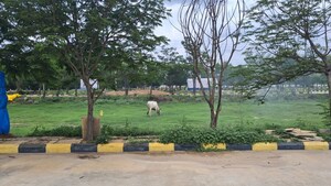  Plot – Garden View at Cherlapalli - for Sale