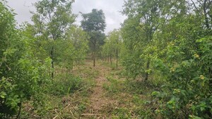  Plot For Sale in Shadnagar