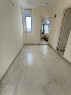 1 BHK + Study Room Builder Floor For Rent in Malviya Nagar