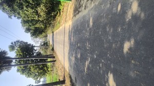   Land at Kanpur Road – for Sale