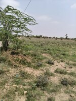 2100 Sq.Ft. Plot in Banar