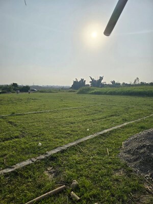 Plot Area in  Plot at Sherpur – for Sale