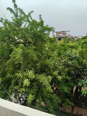 1 BHK Builder Floor – Garden View at Greater Kailash - for Rent