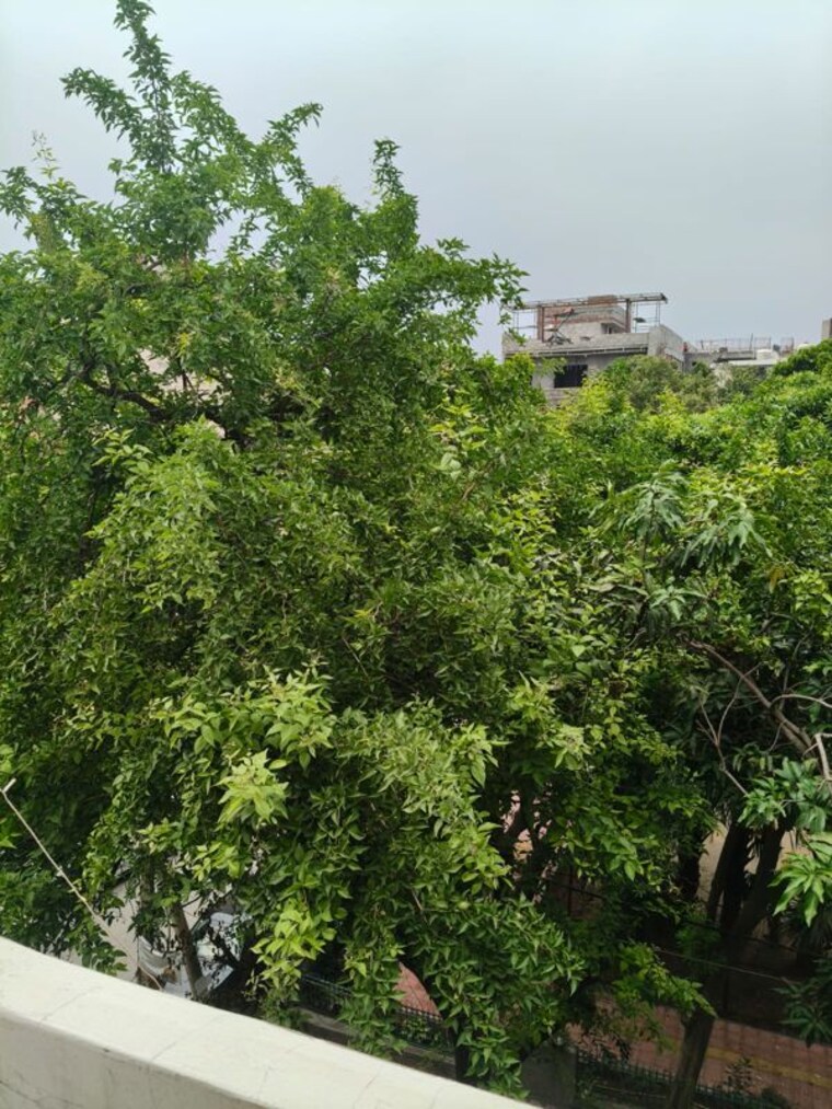Garden, greater kailash 1 Bedroom 1000 Sq.Ft. Builder Floor In Greater Kailash Delhi 10598329