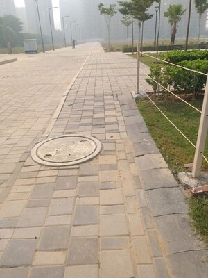 Plot Area in  Plot at Sector 77 – for Sale