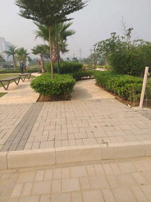  Plot – Exterior View View at Sector 77 - for Sale