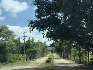 Plot Area in  Plot at Navanidhi Township, Anekal – for Sale