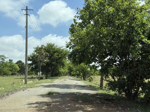  Plot – Garden View at Navanidhi Township, Anekal - for Sale