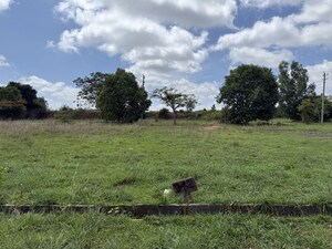 Plot Area in  Plot at Navanidhi Township, Anekal – for Sale