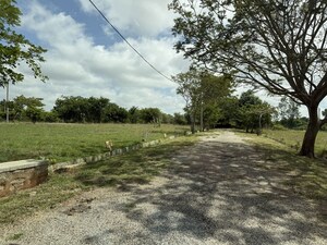 Plot Area in  Plot at Navanidhi Township, Anekal – for Sale